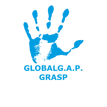 Global GRASP