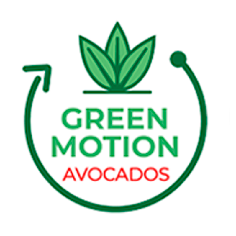 Green Motion